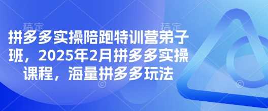 拼多多实操陪跑特训营弟子班，2025年2月拼多多实操课程，海量拼多多玩法_陌咲网