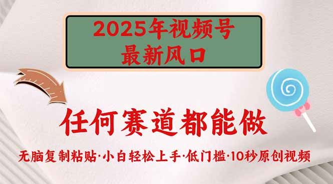 （14453期）2025年视频号新风口，低门槛只需要无脑执行_陌咲网