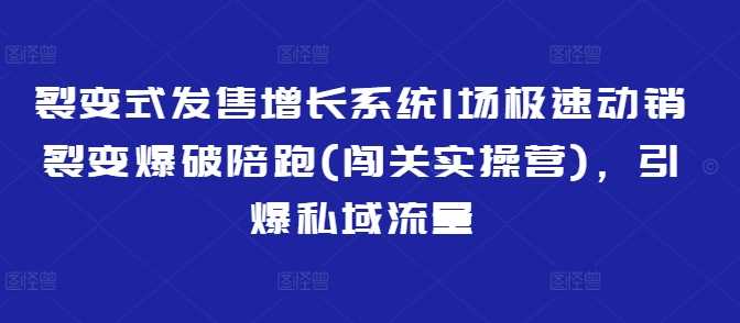 裂变式发售增长系统1场极速动销裂变爆破陪跑(闯关实操营)，引爆私域流量_陌咲网