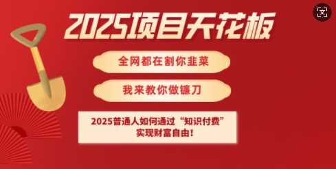2025项目天花板普通人如何通过知识付费，实现财F自由【揭秘】_陌咲网