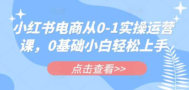 小红书电商从0-1实操运营课，0基础小白轻松上手_陌咲网