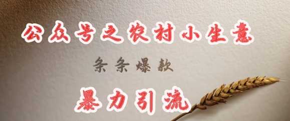 deepseek写农村小项目，条条爆款，暴力引流_陌咲网