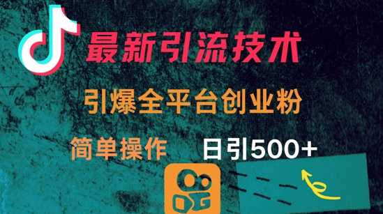 最新引流方法，引爆全平台的一个创业粉，简单操作日引300_陌咲网