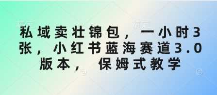 私域卖壮锦包，一小时3张，小红书蓝海赛道3.0版本， 保姆式教学_陌咲网