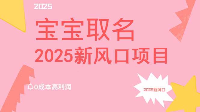 （14593期）2025新风口项目宝宝取名，0成本高利润，附保姆级教程，月入过万不是梦_陌咲网