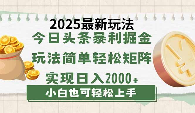 （14120期）今日头条2025最新玩法，思路简单，复制粘贴，轻松实现矩阵日入2000_陌咲网