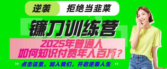 【网创项目终点站-镰刀训练营超级IP合伙人】25年普通人如何通过知识付费实现逆袭【揭秘】_陌咲网