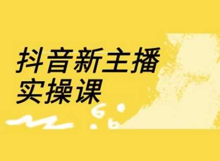抖音新主播实操课，直播间流量运营线上实操课(18节)_陌咲网