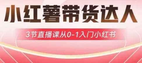 小红薯达人带货启航计划，3节直播课从0-1入门小红书_陌咲网