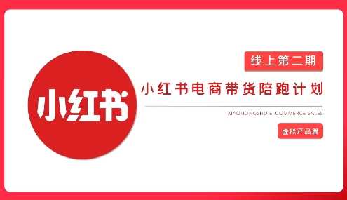 2025小红书虚拟电商实战课，从0到1打造无货源店铺，AI 爆款笔记轻松变现_陌咲网