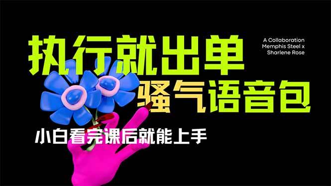 （14170期）爆火全网的开车导航骚气语音包,只要执行就出单，小白看完课程就能实操…_陌咲网
