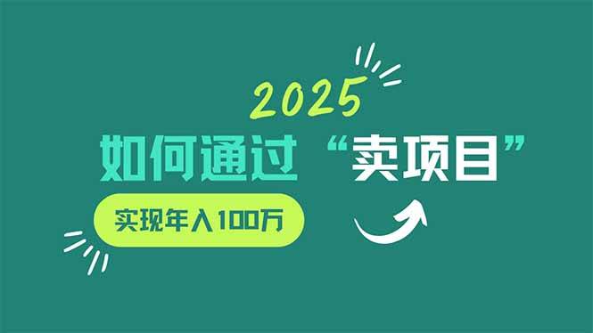 （14176期）2025年如何通过“卖项目”实现年入100万_陌咲网