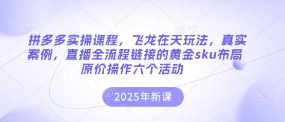 拼多多实操课程，飞龙在天玩法，真实案例，直播全流程链接的黄金sku布局原价操作六个活动_陌咲网