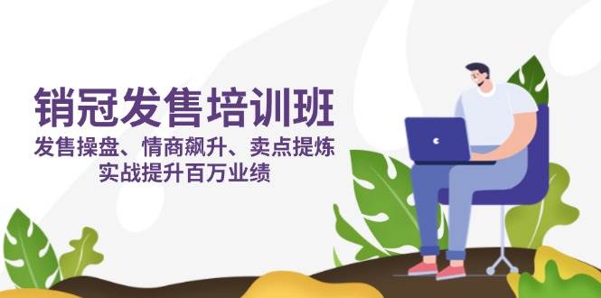 （14203期）销冠 发售培训班：发售 操盘 情商 飙升 卖点 提炼，实战提升百万业绩_陌咲网