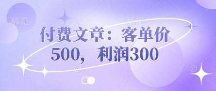 付费文章：客单价500，利润300_陌咲网