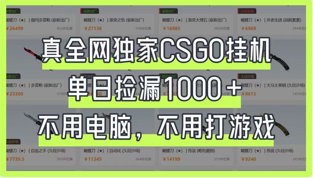 真全网独家CSGO挂机，单日捡漏1000 ，不用电脑，不用养号_陌咲网