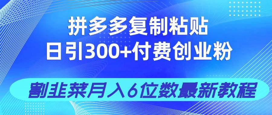 （14232期）拼多多复制粘贴日引300 付费创业粉，割韭菜月入6位数最新教程！_陌咲网
