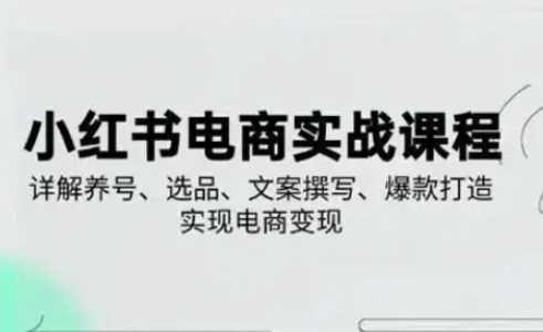 小红书从0-1实操课(2023-2025)，详解养号、选品、文案撰写、爆款打造实现电商变现_陌咲网