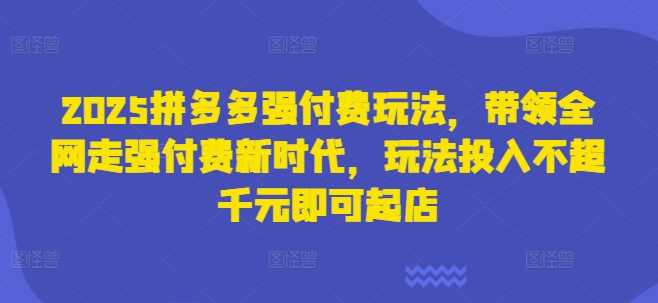 2025拼多多强付费玩法，带领全网走强付费新时代，玩法投入不超千元即可起店_陌咲网