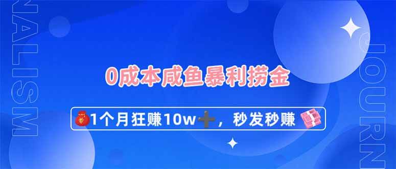 （14257期）0成本闲鱼暴利捞金，1个月狂赚10W ，秒发秒赚新玩法_陌咲网