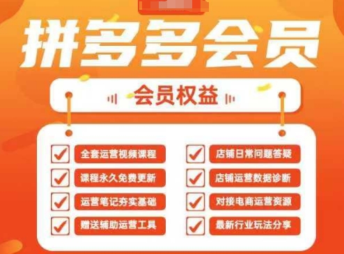 2025拼多多运营实战课，40节全流程教学，覆盖拼多多运营全链路_陌咲网