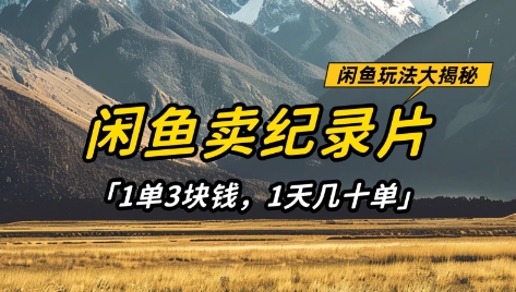 闲鱼卖纪录片1单3块钱，1天几十单，项目稳定有潜力_陌咲网