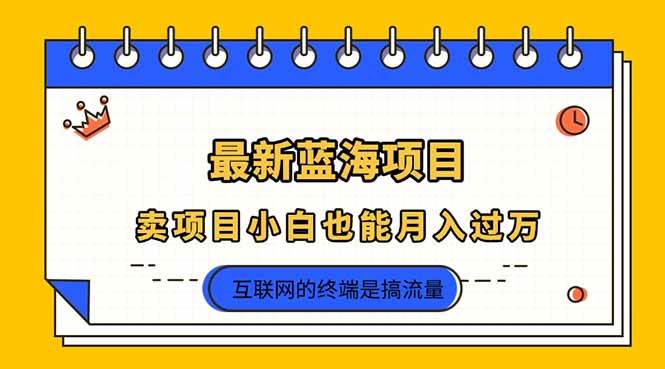 （14289期）2025年最新蓝海项目，卖项目小白也能月入过万_陌咲网