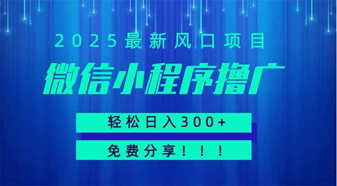 （14375期）微信小程序撸广，最新风口项目，日入300  免费分享 可批量操作 小白可…_陌咲网
