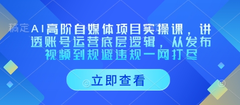 AI高阶自媒体项目实操课，讲透账号运营底层逻辑，从发布视频到规避违规一网打尽_陌咲网