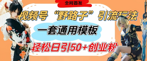 视频号“野路子”玩法，评论区疯狂截流，一套模板单日单号引流50 创业粉_陌咲网