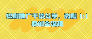 短剧推广干货分享，豹剧 1:1原创全流程_陌咲网