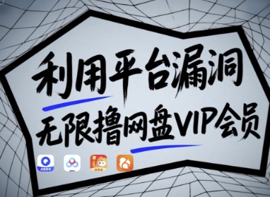 利用平台漏洞，无限撸网盘VIP会员，用户亲测有效!【漏洞原理 操作演示】_陌咲网