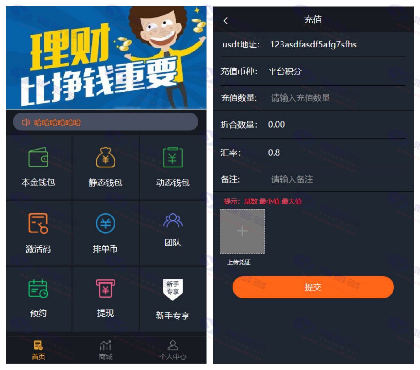 区块链USDT虚拟币排单系统：虚拟钱包理财投资程序带商城功能_陌咲网