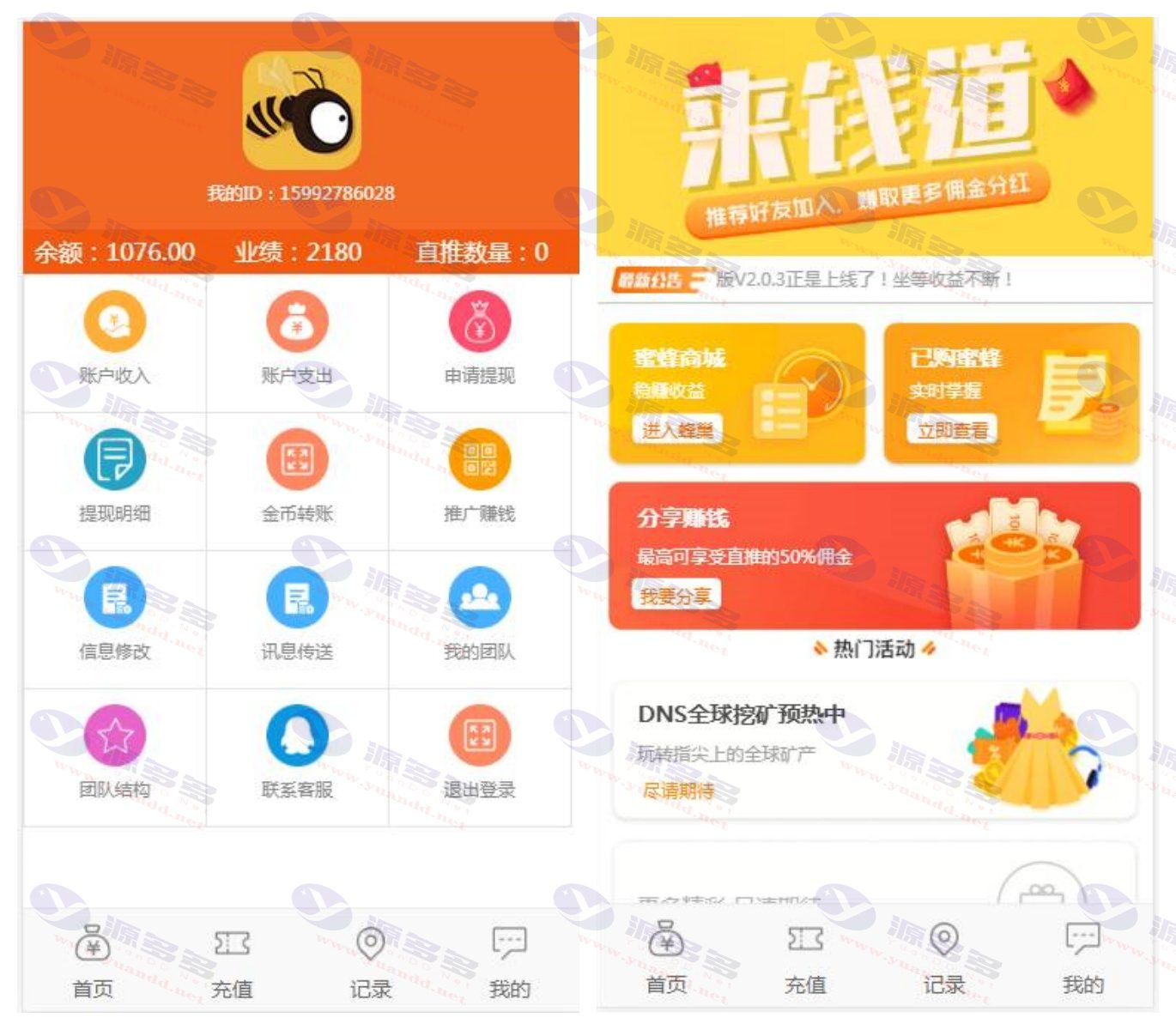 蜜蜂赚养蜂区块链系统网站源码：挂机赚钱与理财分红的运营级平台_陌咲网
