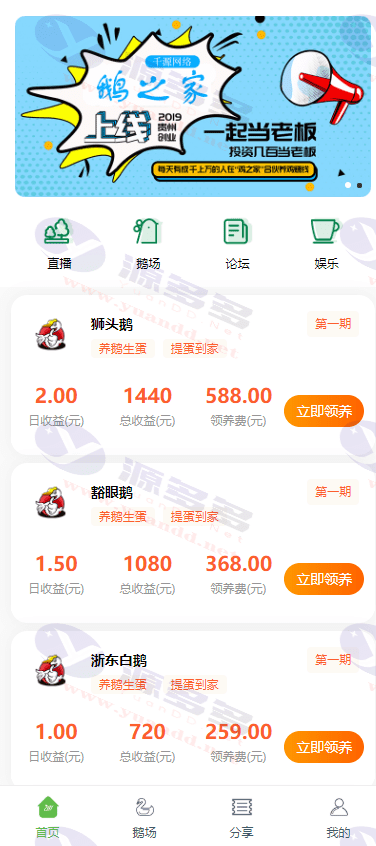 图片[1]_PHP鹅之家理财系统源码,买鹅下单,卖蛋赚钱，挂机理财分红发圈赚钱系统_陌咲网
