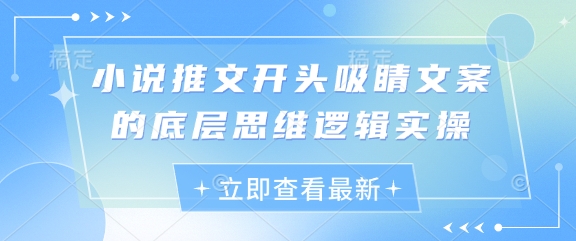 小说推文开头吸睛文案的底层思维逻辑实操_陌咲网