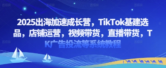 2025出海加速成长营，TikTok基建选品，店铺运营，视频带货，直播带货，TK广告投流等系统教程_陌咲网