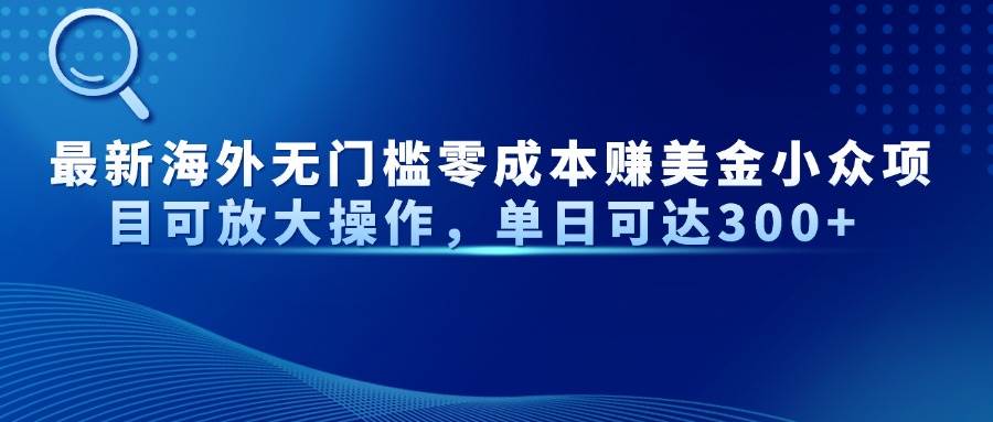（14542期）最新海外无门槛零成本赚美金小众项目可放大操作，单日可达300_陌咲网