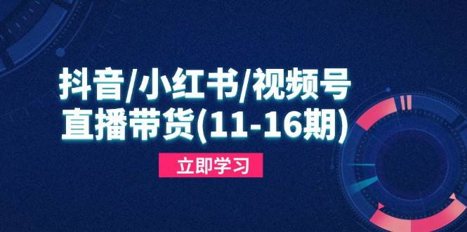 （14611期）抖音/小红书/视频号/直播带货(11-16期)，快速掌握平台规则，打造爆款内容_陌咲网