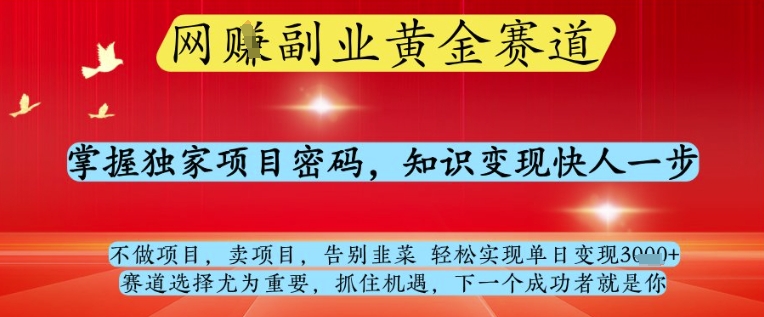 网创副业黄全赛道，掌握独家项目密码，知识变现快人一步，告别韭菜轻松实现单日变现1k 【揭秘】_陌咲网
