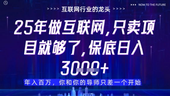 什么！25年你还在找项目做？风口早就变了，卖项目才是稳挣不赔【揭秘】_陌咲网