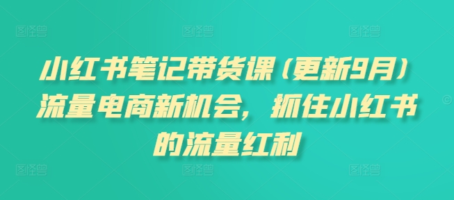 小红书笔记带货课(更新25年4月)流量电商新机会，抓住小红书的流量红利_陌咲网
