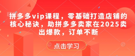 拼多多vip课程，零基础打造店铺的核心秘诀，助拼多多卖家在2025卖出爆款，订单不断_陌咲网