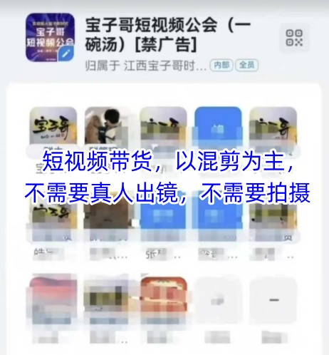 宝子哥头部团队短视频带货，以混剪为主，不需要真人出镜，不需要拍摄_陌咲网