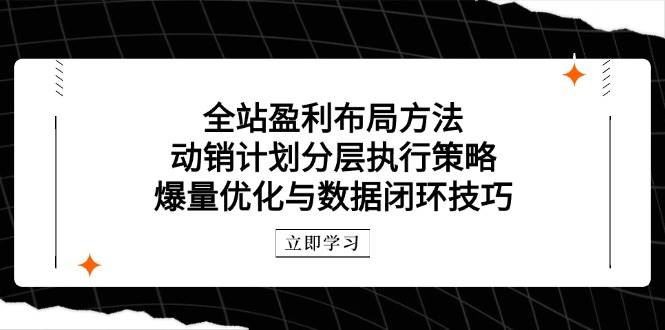 （14698期）全站盈利布局方法：动销计划分层执行策略，爆量优化与数据闭环技巧_陌咲网