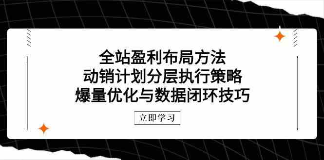 全站盈利布局方法：动销计划分层执行策略，爆量优化与数据闭环技巧_陌咲网